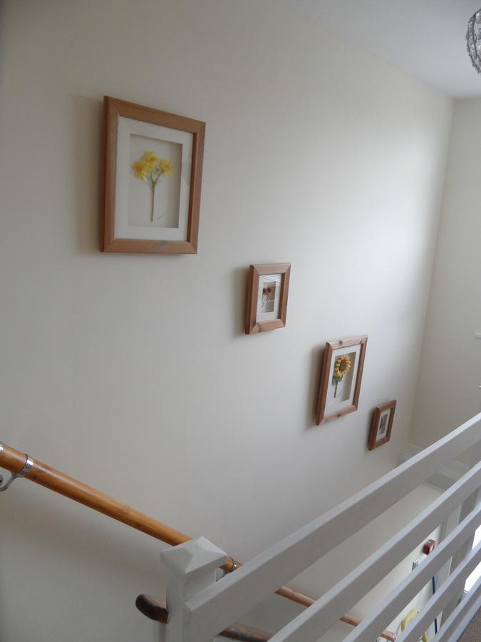 Monterey Pines Bed and Breakfast Helston Εξωτερικό φωτογραφία