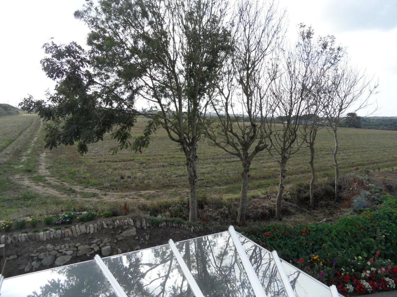 Monterey Pines Bed and Breakfast Helston Εξωτερικό φωτογραφία